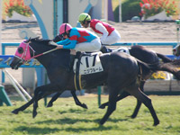 ３Ｒ　未勝利戦　ニジブルーム