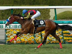 阪神9R　マーガレットＳ　クリアンサス