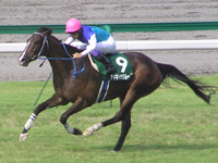 アドマイヤセプターの母・アドマイヤグルーヴ