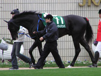 タガノマイバッハ