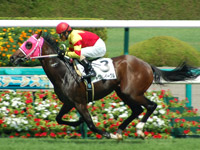 トウシンイーグル