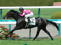 ビップセレブアイ