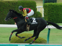 キングスエンブレム