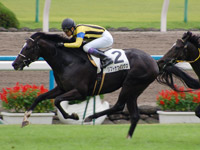 リフトザウイングス