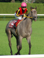 レース後のレーヴディソール