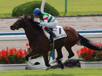 新馬戦　ケイティーズジェム