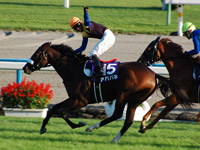 秋華賞　ゴール後