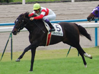 10月24日（日）　京都５Ｒ　新馬戦