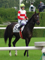 レース後のダノンバラード