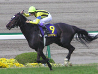 ダンスファンタジアの母・ダンスインザムード