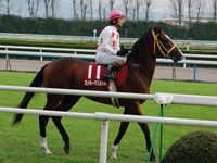 ミッキーマスカット