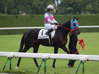 サダムパテック