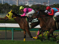 オースミハルカ