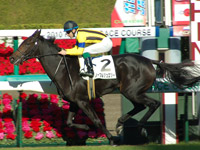 ノーブルジュエリー　レース写真