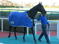 ノーブルジュエリー ウイナーズサークルにて