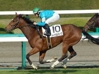 ヌーベルバーグ　ゴール前写真