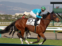 ヌーベルバーグ　キャンター