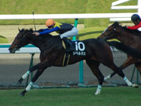 千両賞　ゴール前写真