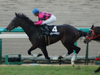 エリカ賞　ゴール前写真