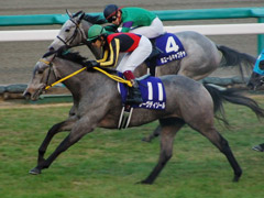 阪神ジュベナイルフィリーズ　ゴール前写真