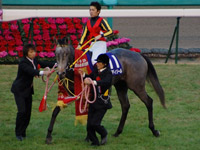 レーヴディソール　その1