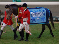 レーヴディソール　その２