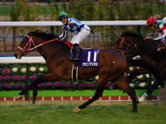 朝日杯フューチュリティＳ　ゴール前写真