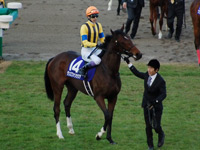 ダンスファンタジア