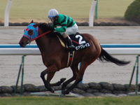 紅梅ステークス