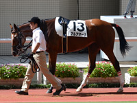 未勝利戦　パドック