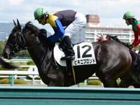 未勝利戦　キャンター