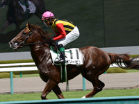 新馬戦　キャンター