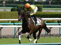 新馬戦　キャンター