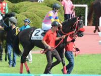 未勝利戦　キャンター