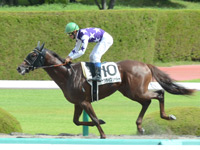 未勝利戦　ゴール前