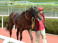 未勝利戦　口取り