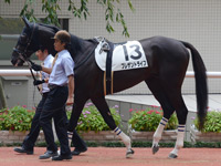 新馬戦　パドック