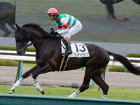 新馬戦　キャンター