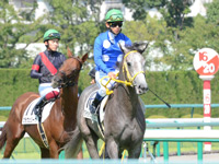 未勝利戦　本馬場入場