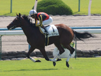 新馬戦（牝）　ゴール前
