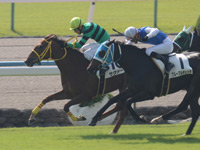 未勝利戦（牝）　ゴール前