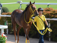 未勝利戦（牝）　口取り