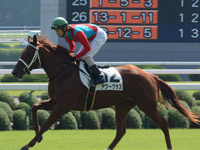 新馬戦（牝）　本馬場入場