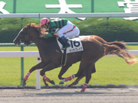 未勝利戦　ゴール前
