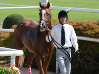 未勝利戦　口取り