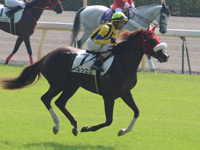 未勝利戦　キャンター