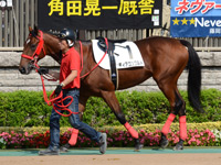 未勝利戦　パドック