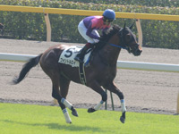 未勝利戦　キャンター