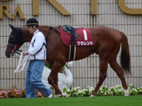 デイリー杯2歳ステークス（ＧII）　パドック