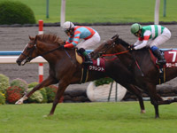デイリー杯2歳ステークス（ＧII）　ゴール前